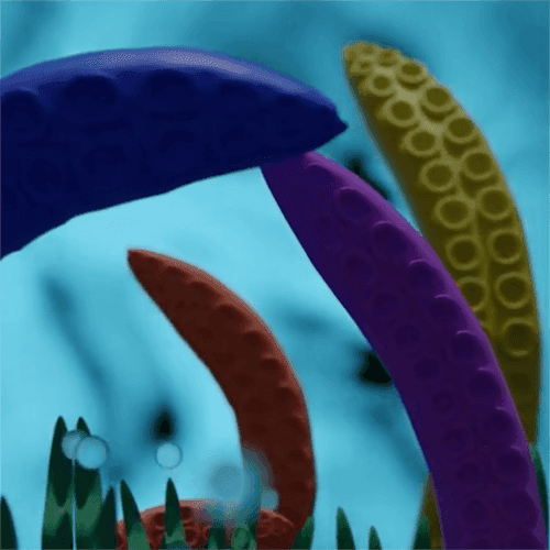 Under the sea